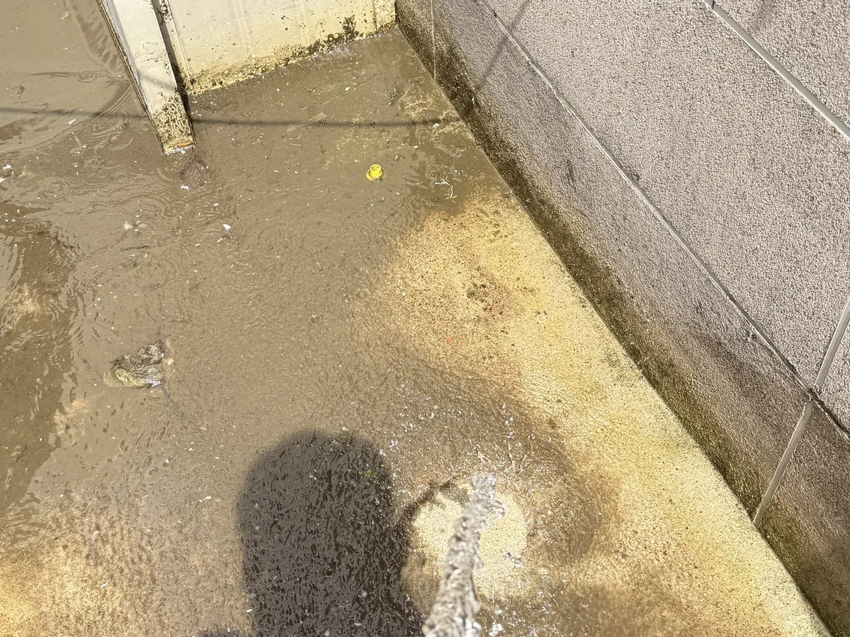 북구 우산동 배관 관리실·기계실 위생청소 사례 - 행진크린